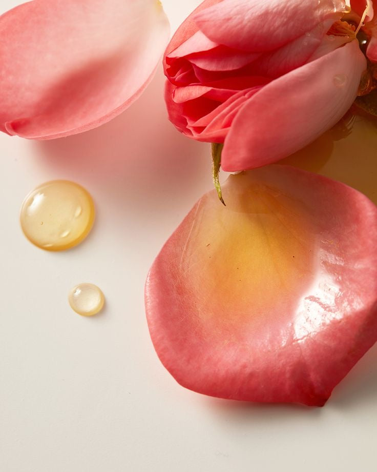 Organic Rosehip Oil - Face